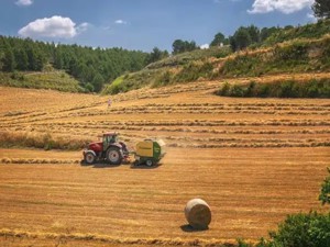 Massey Ferguson tractor pulls Krone baler in field