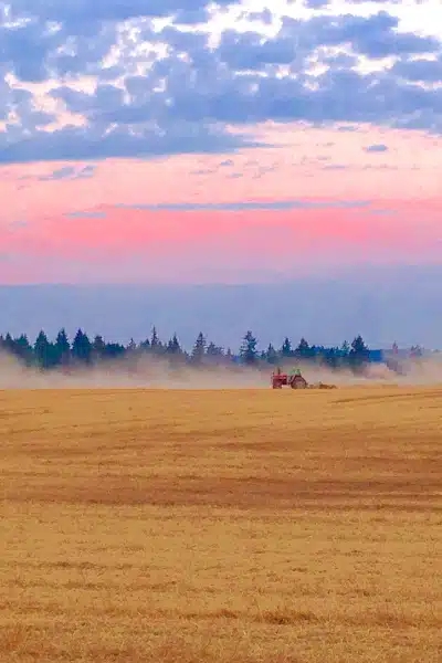 Equipment category menu