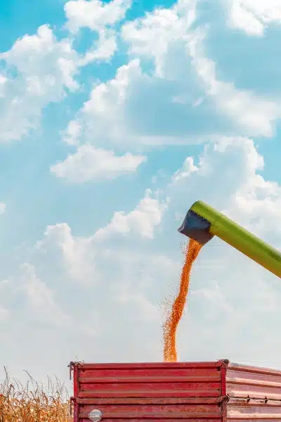 Equipment category menu